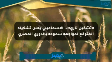 «تشكيل ناري».. الإسماعيلي يعلن تشكيله المتوقع لمواجهة سموحة بالدوري المصري